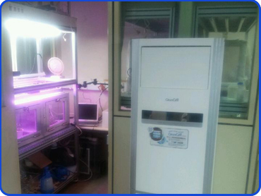 ������û����